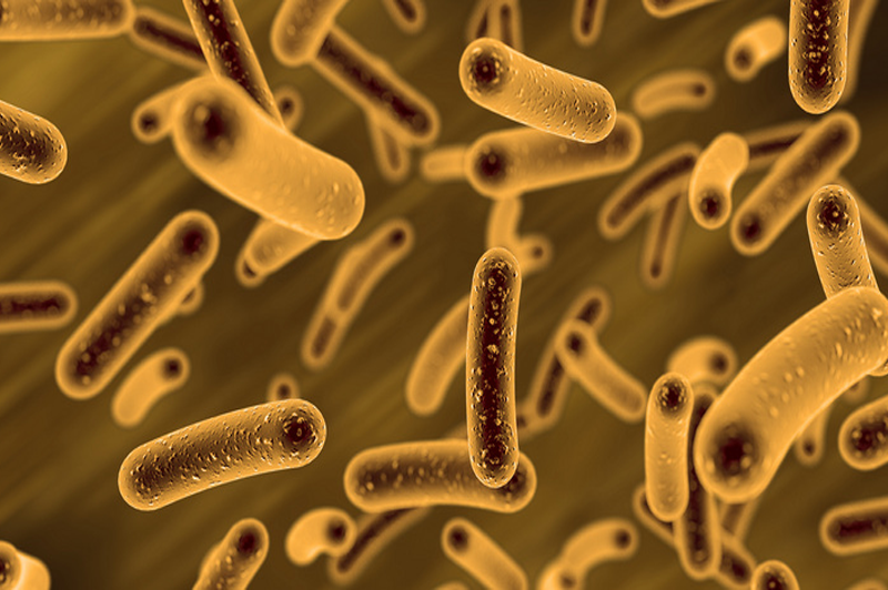 【微生物检测】_微生物检测价格_微生物检测标准/第三方机构_中宙慧远检测